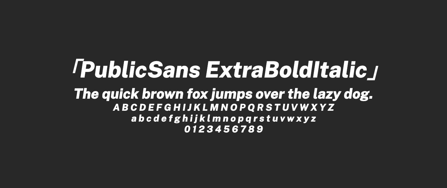 PublicSans-ExtraBoldItalic字体预览
